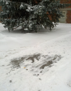 iceundersnow2