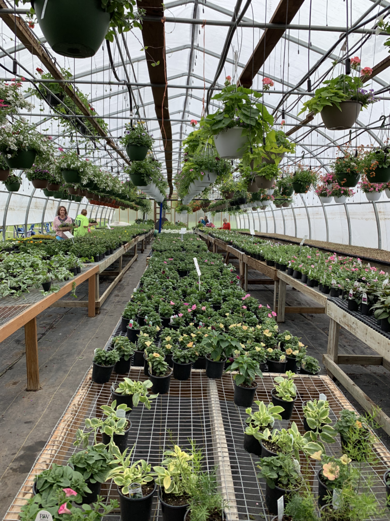 Amish Greenhouse Road Trip | The Curmudgeon Speaks